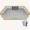 MISSION Inflatable Water Mats<Reef Deck | Inflatable Swim Platform + Lounger