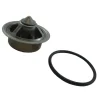 PCM Nautique Parts<Thermostat Kit RP026002F